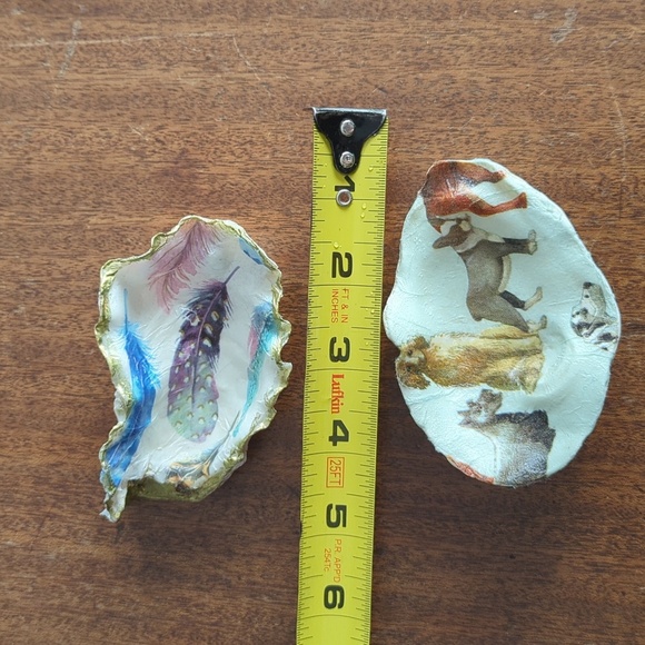 Decorative Shells - Picture 9 of 9